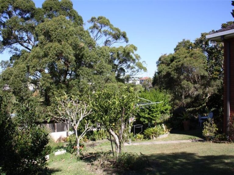 Sold - 33 Palmer Street - New Property in NAMBUCCA HEADS - Real Estate by McGrath Nambucca