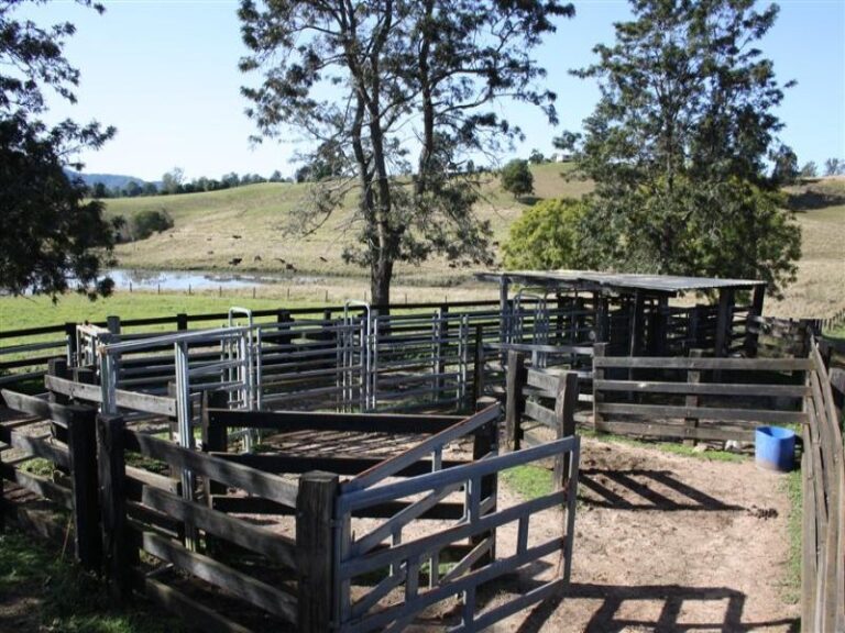 Sold - 384 Graces Road - New Property in BOWRAVILLE - Real Estate by McGrath Nambucca