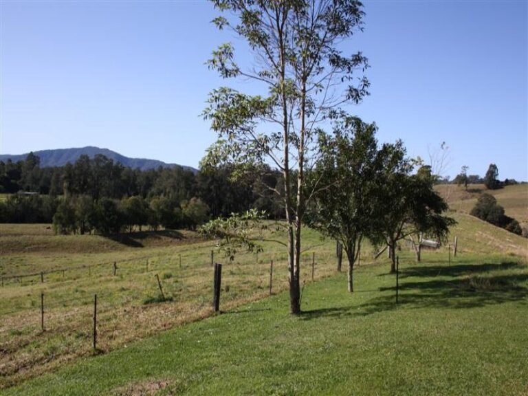 Sold - 384 Graces Road - New Property in BOWRAVILLE - Real Estate by McGrath Nambucca