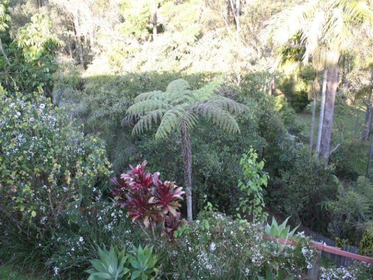 Sold - 12 Newman Street - New Property in NAMBUCCA HEADS - Real Estate by McGrath Nambucca