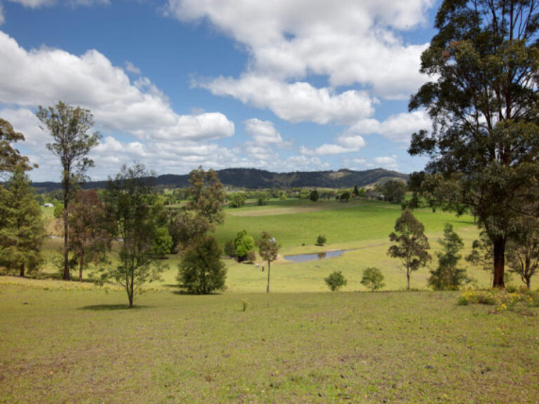 Sold - 1196 Rodeo Drive - New Property in BOWRAVILLE - Real Estate by McGrath Nambucca