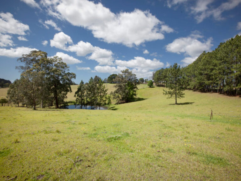 Sold - 1196 Rodeo Drive - New Property in BOWRAVILLE - Real Estate by McGrath Nambucca