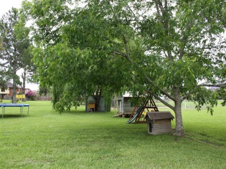 Sold - 41 Jellico Street - New Property in MACKSVILLE - Real Estate by McGrath Nambucca