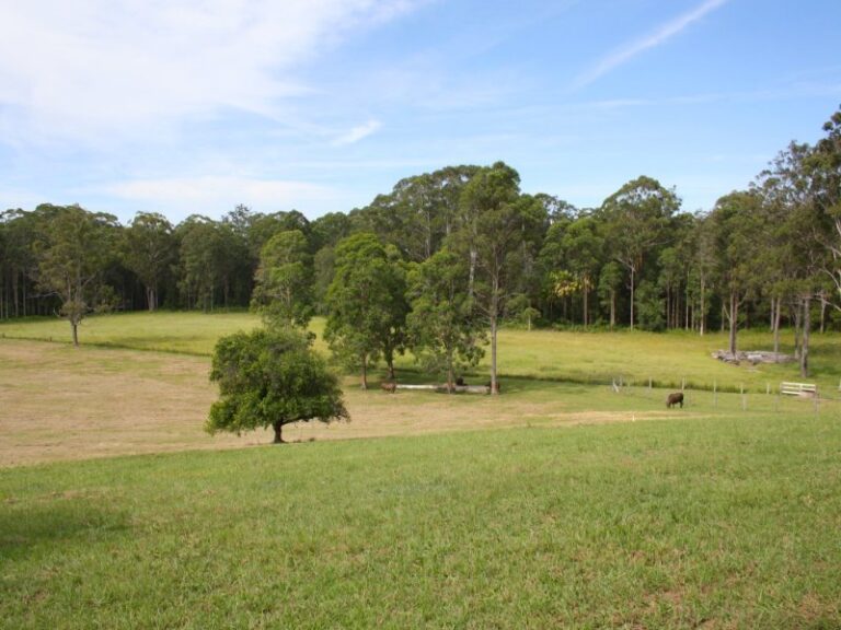 Sold - 19 Corneil - New Property in GUMMA - Real Estate by McGrath Nambucca