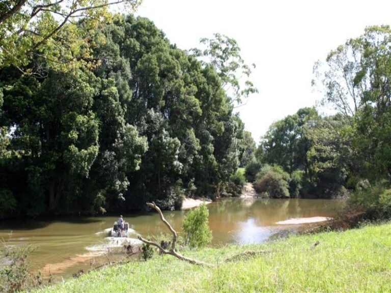 Sold - 54 Grassy Road - New Property in BOWRAVILLE - Real Estate by McGrath Nambucca