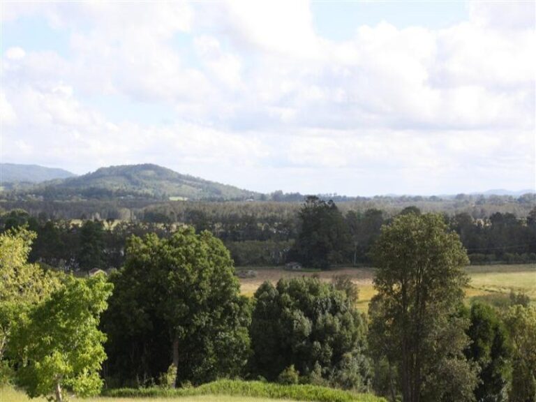 Sold - 22 Letitia Close - New Property in MACKSVILLE - Real Estate by McGrath Nambucca