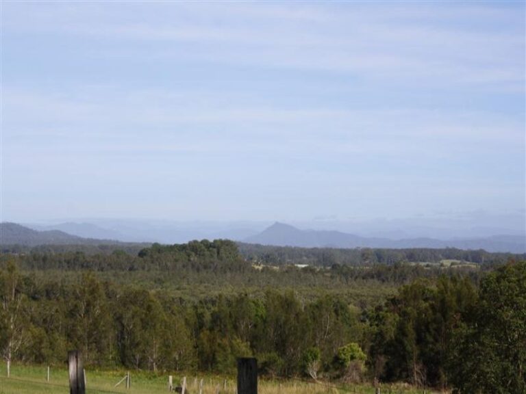 Sold - 22 Letitia Close - New Property in MACKSVILLE - Real Estate by McGrath Nambucca