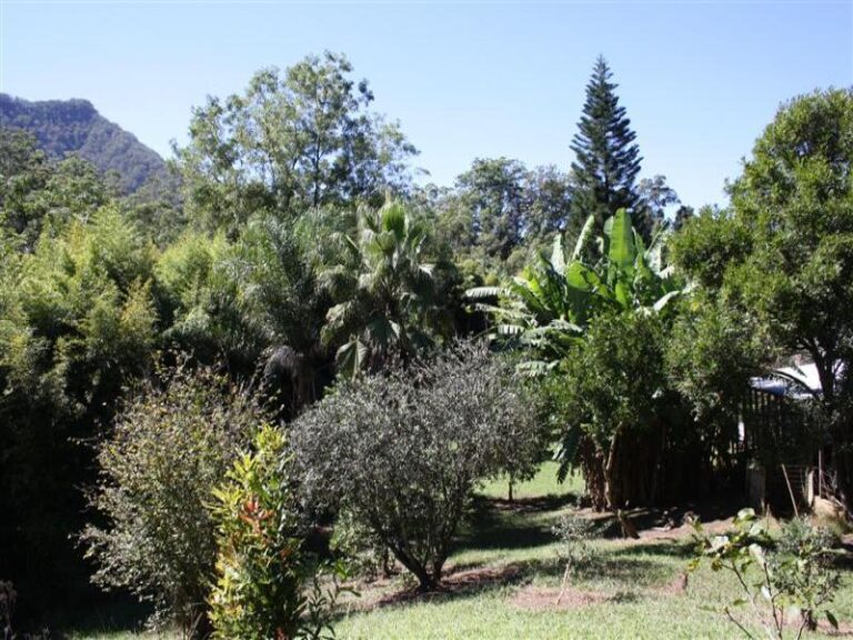 Sold - 2140 North Arm Rd via - New Property in BOWRAVILLE - Real Estate by McGrath Nambucca