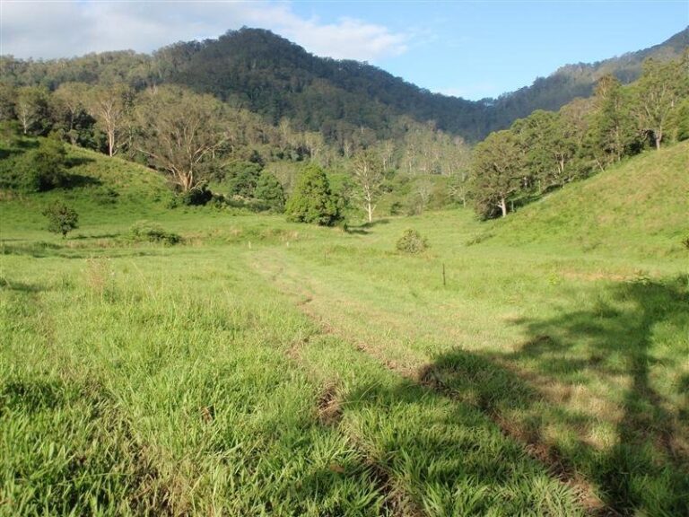 Sold - 2140 North Arm Rd via - New Property in BOWRAVILLE - Real Estate by McGrath Nambucca