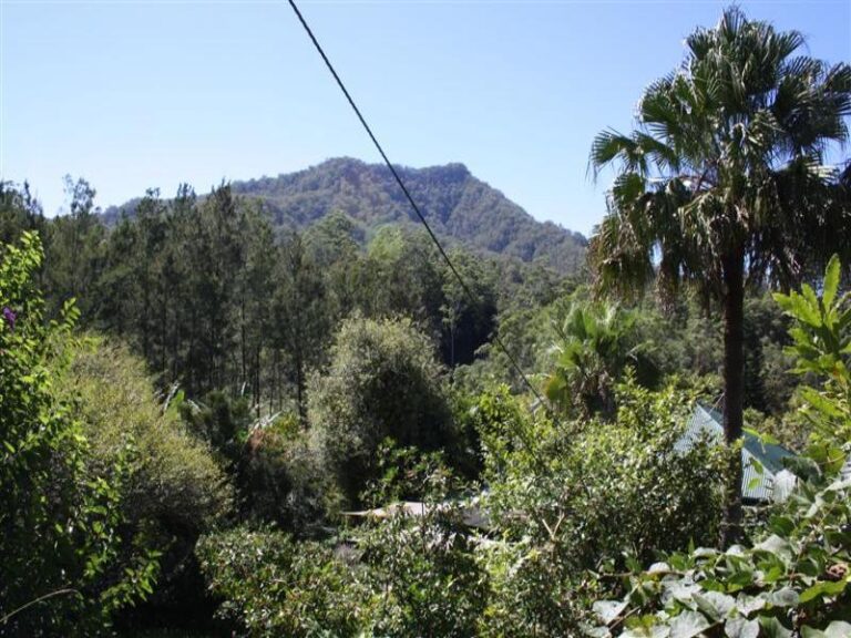 Sold - 2140 North Arm Rd via - New Property in BOWRAVILLE - Real Estate by McGrath Nambucca
