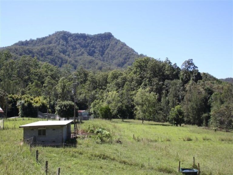 Sold - 2140 North Arm Rd via - New Property in BOWRAVILLE - Real Estate by McGrath Nambucca