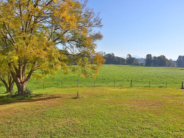 Sold - 45 Bellingen Road - New Property in BOWRAVILLE - Real Estate by McGrath Nambucca
