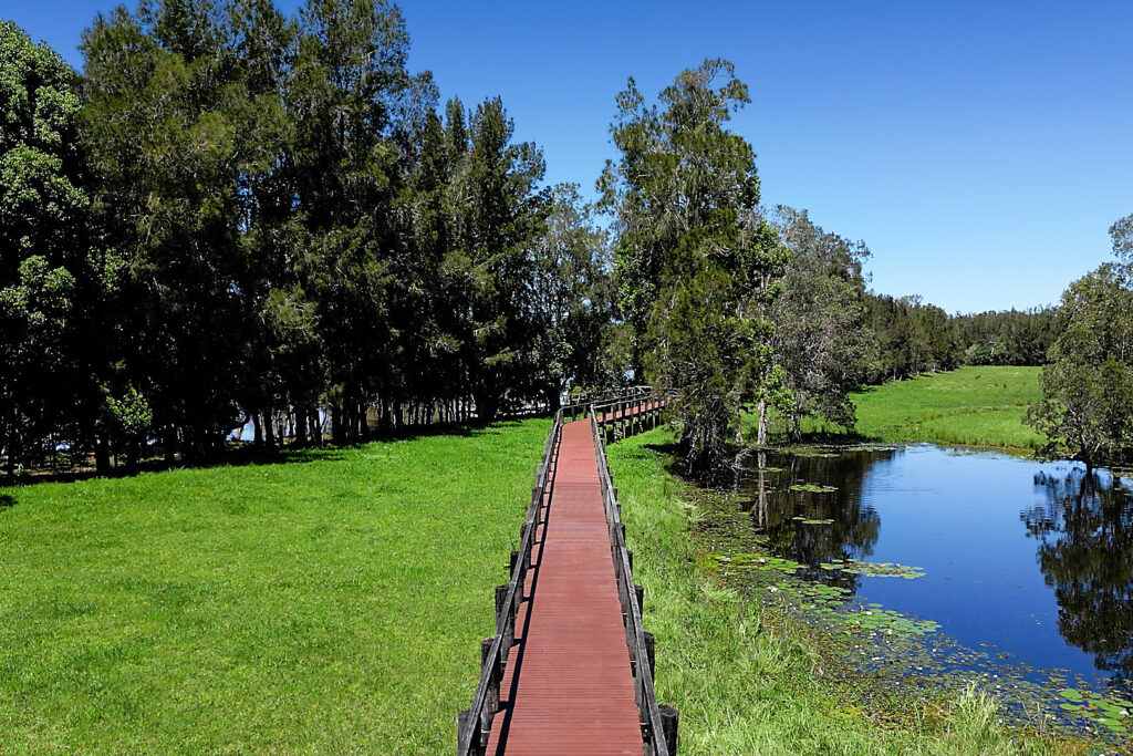 Sold - 292 Wilson Road - New Property in Congarinni North - Real Estate by McGrath Nambucca