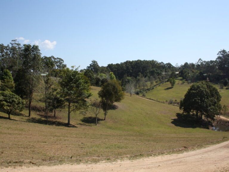 Sold - 99A Irvines Road - New Property in NEWEE CREEK - Real Estate by McGrath Nambucca