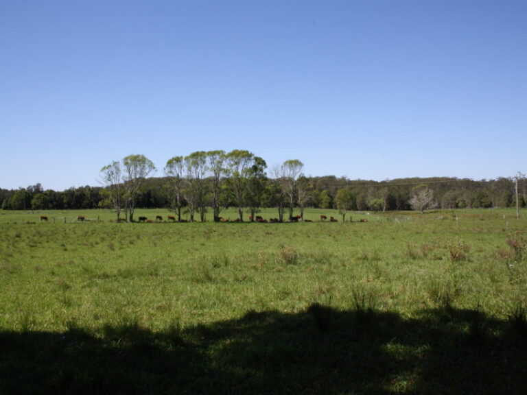 Sold - 107 Deep Creek Road - New Property in VALLA - Real Estate by McGrath Nambucca