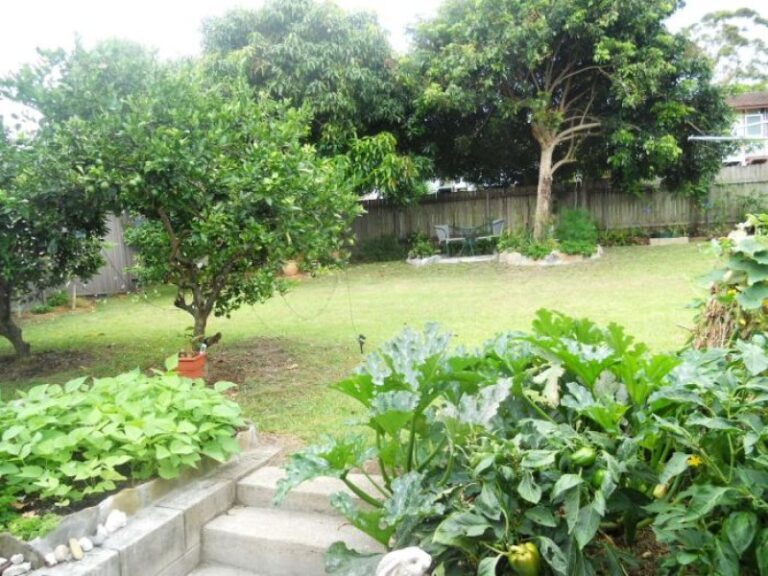 Sold - 6 Glen Sheather Drive - New Property in NAMBUCCA HEADS - Real Estate by McGrath Nambucca