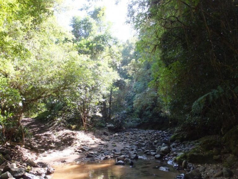 Sold - 234 Maddrake Chase - New Property in GIRRALONG - Real Estate by McGrath Nambucca