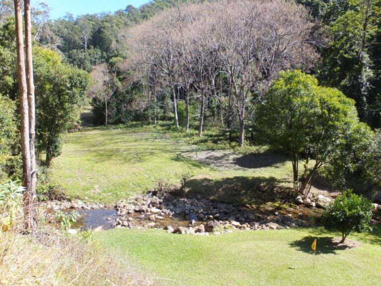 Sold - 234 Maddrake Chase - New Property in GIRRALONG - Real Estate by McGrath Nambucca
