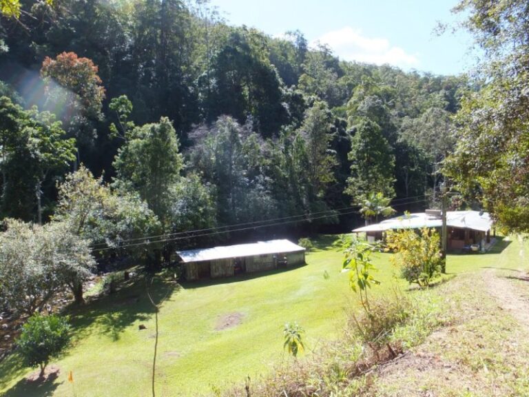 Sold - 234 Maddrake Chase - New Property in GIRRALONG - Real Estate by McGrath Nambucca