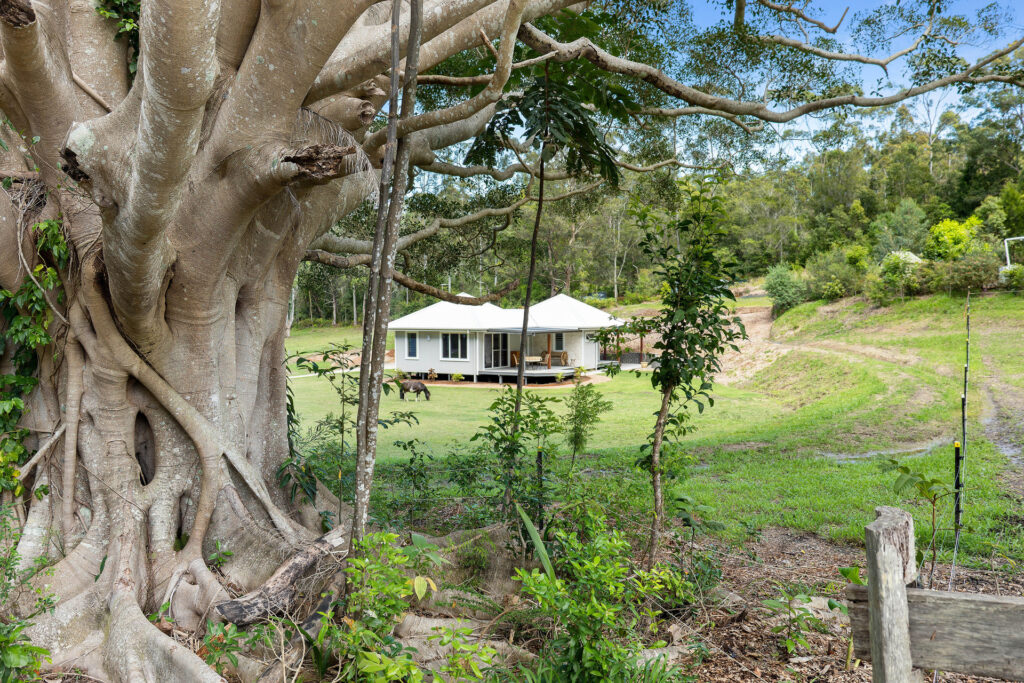 Sold - 4 Bunya Grove - New Property in Bonville - Real Estate by Rebecca Harrington