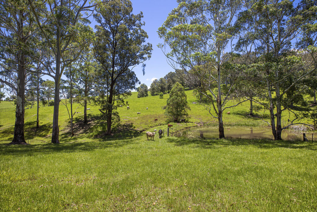 Sold - 211-213 Nana Creek Road - New Property in Nana Glen - Real Estate by John Hall