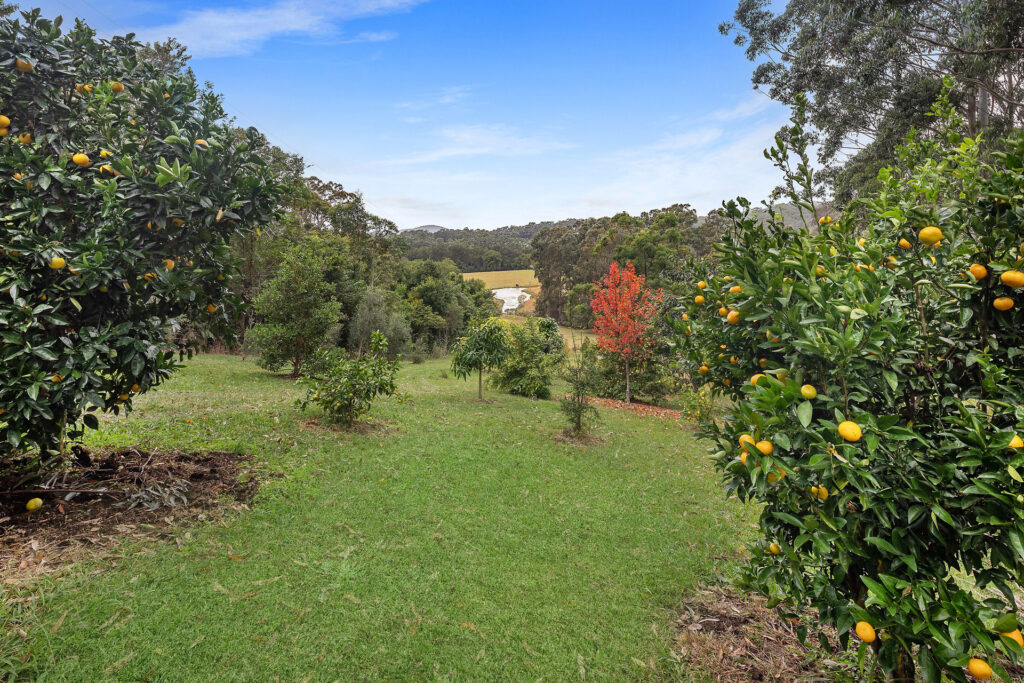Sold - 211 Coldwater Creek Road - New Property in Nana Glen - Real Estate by John Hall