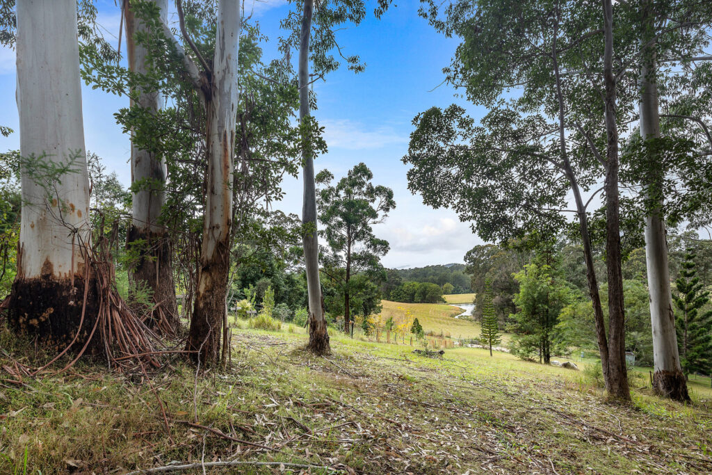 Sold - 211 Coldwater Creek Road - New Property in Nana Glen - Real Estate by John Hall