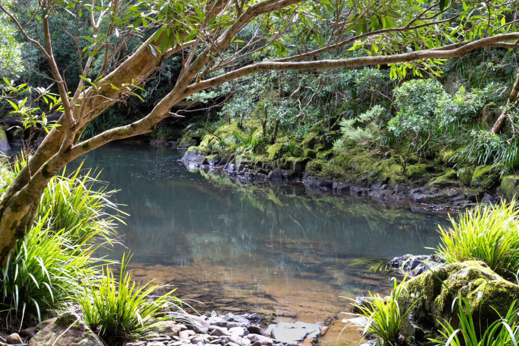 Sold - 40 Frog Hollow Forest Road - New Property in Ulong - Real Estate by John Hall