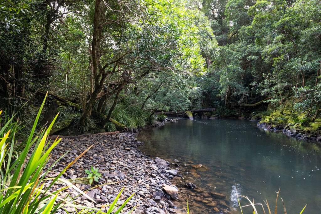 Sold - 40 Frog Hollow Forest Road - New Property in Ulong - Real Estate by John Hall