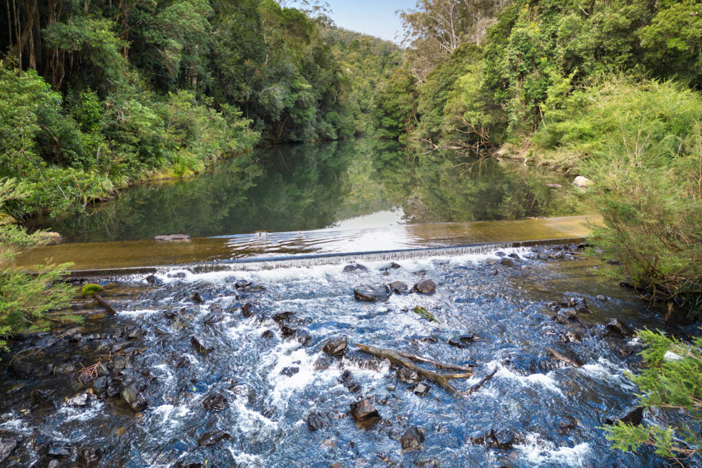 Sold - 40 Frog Hollow Forest Road - New Property in Ulong - Real Estate by John Hall