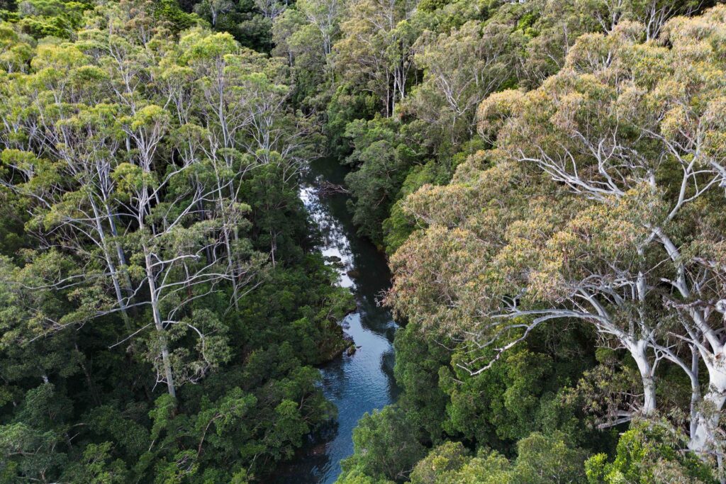 Sold - 40 Frog Hollow Forest Road - New Property in Ulong - Real Estate by John Hall