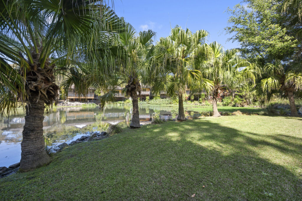 Sold - 3/95a James Small Drive - New Property in Korora - Real Estate by Tom Coombes
