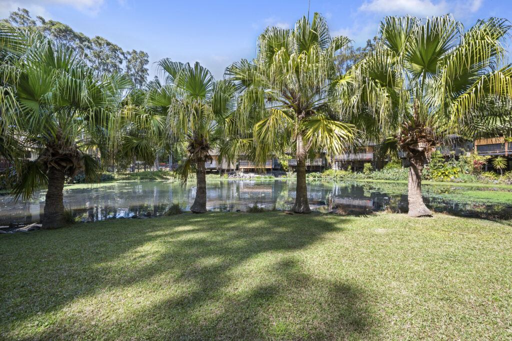 Sold - 3/95a James Small Drive - New Property in Korora - Real Estate by Tom Coombes