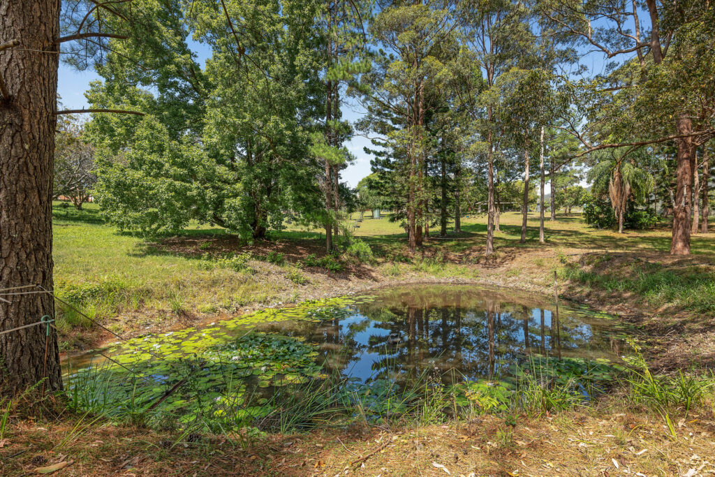 Sold - 154-156 Holloways Road - New Property in Sandy Beach - Real Estate by Tom Coombes