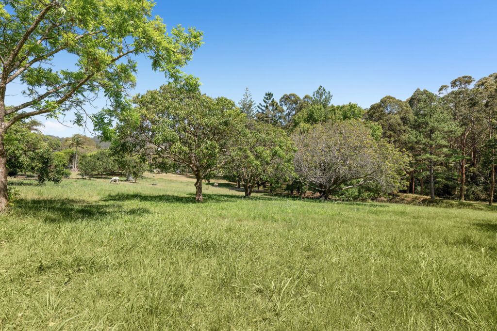 Sold - 154-156 Holloways Road - New Property in Sandy Beach - Real Estate by Tom Coombes