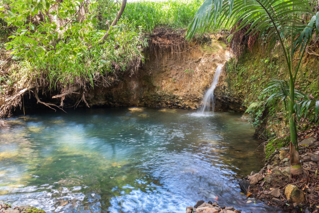 Sold - 189A Ayrshire Park Drive - New Property in Boambee - Real Estate by Shayne Long