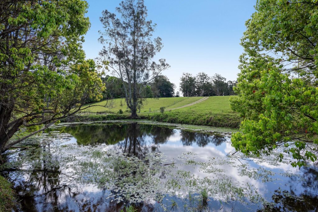 Sold - 86 Congarinni Road - New Property in Talarm - Real Estate by Ashlee Downton