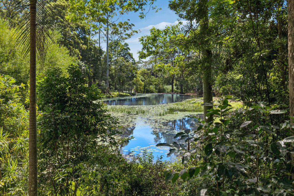 Sold - 274 South Boambee Road - New Property in Boambee - Real Estate by Troy Pinder