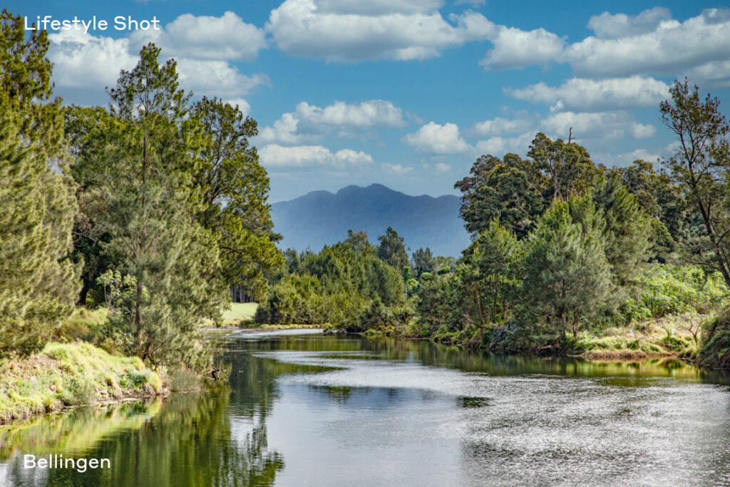 Sold - 2 Lovell Street - New Property in Bellingen - Real Estate by Troy Pinder