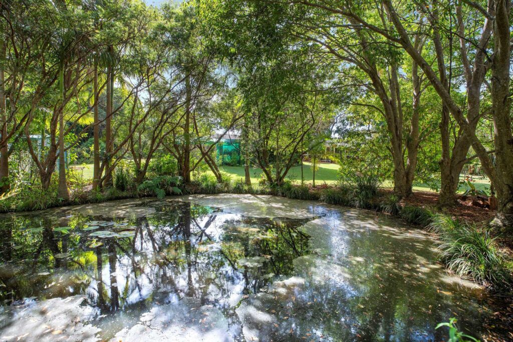 Sold - 20 Amanda Close - New Property in Boambee - Real Estate by Shayne Long