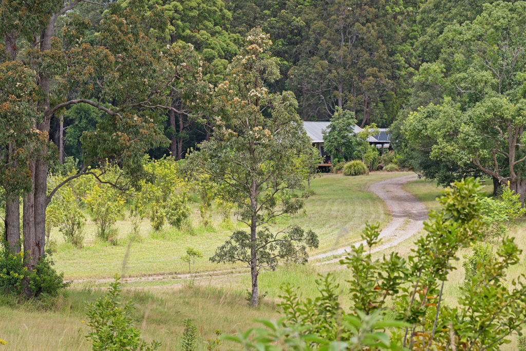 Sold - 166 Tamban Road - New Property in Eungai Creek - Real Estate by Ashlee Downton