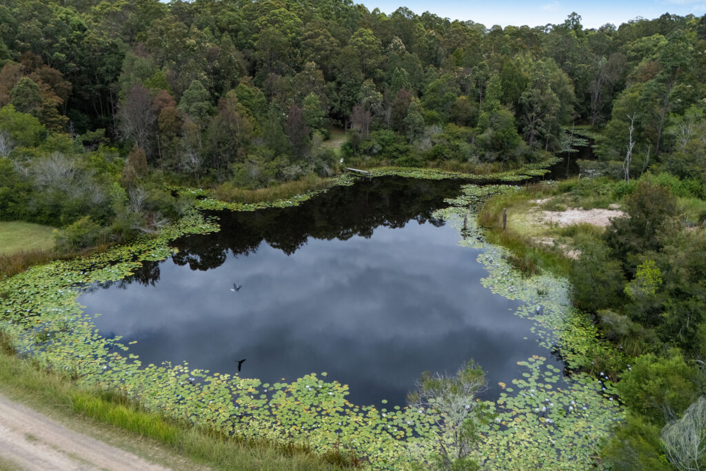 Sold - 166 Tamban Road - New Property in Eungai Creek - Real Estate by Ashlee Downton