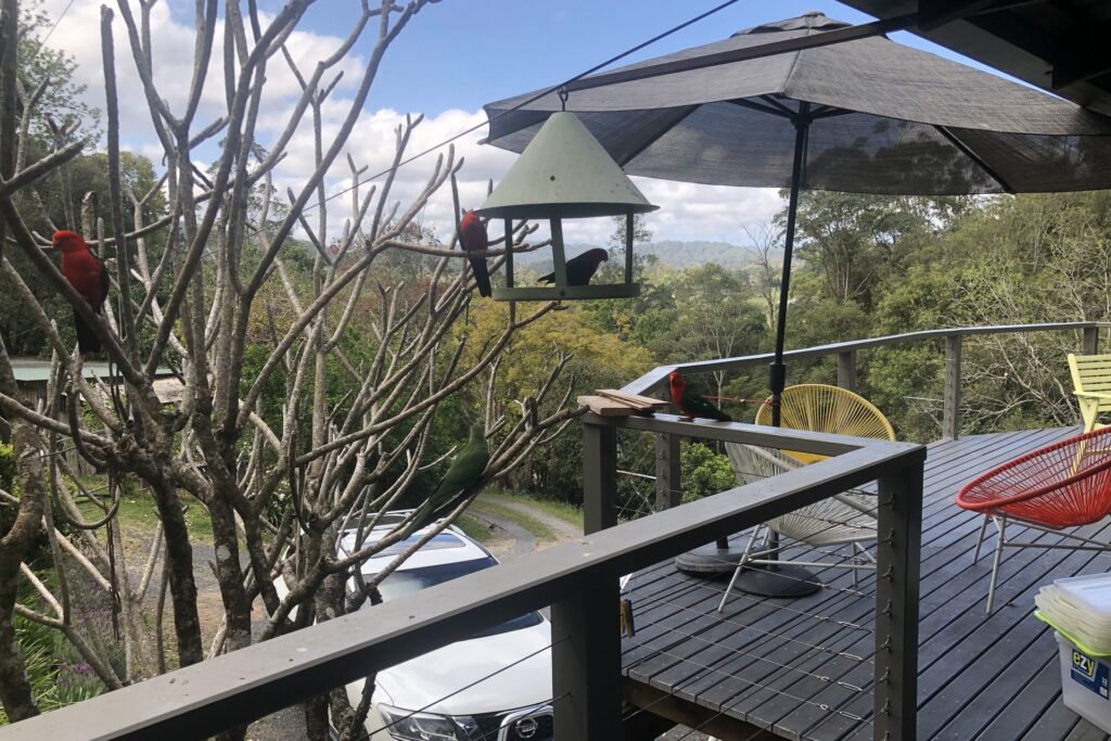 Sold - 432 North Island Loop Road - New Property in Upper Orara - Real Estate by Shayne Long
