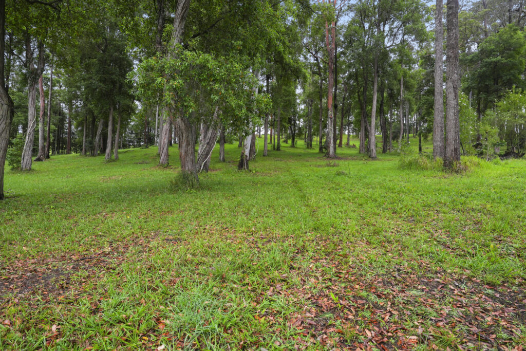 Sold - 62 Talarm Road - New Property in Talarm - Real Estate by Ashlee Downton
