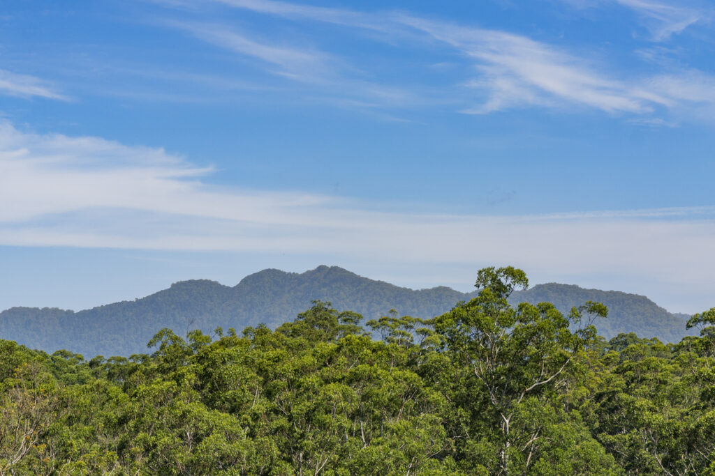 Sold - 96 Bowraville Road - New Property in Bellingen - Real Estate by Troy Pinder