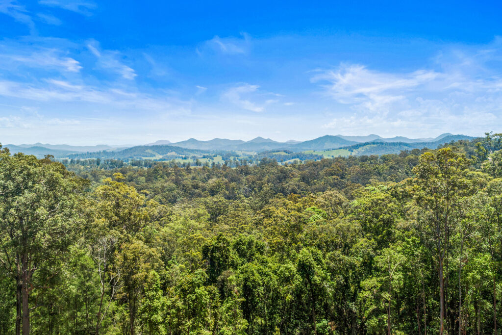 Sold - 299 Congarinni Road - New Property in Congarinni North - Real Estate by McGrath Nambucca