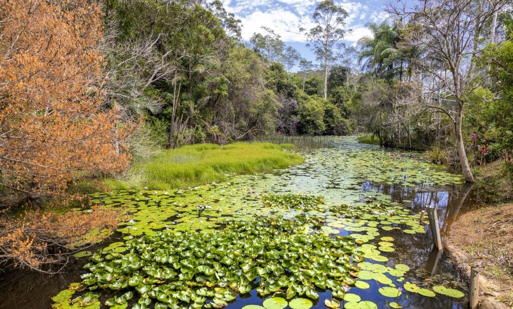 Sold - 25 Zutano Close - New Property in Valla - Real Estate by Ashlee Downton