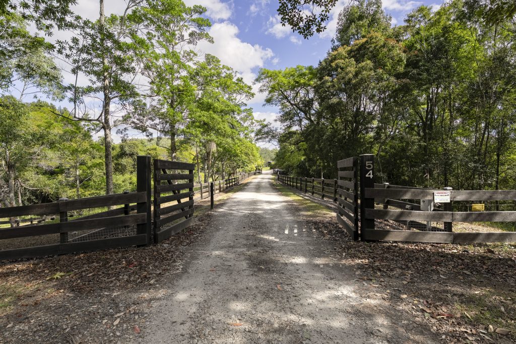 For Sale - 54 Sunny Corner Road - New Property in Bellingen - Real Estate by Ashlee Downton
