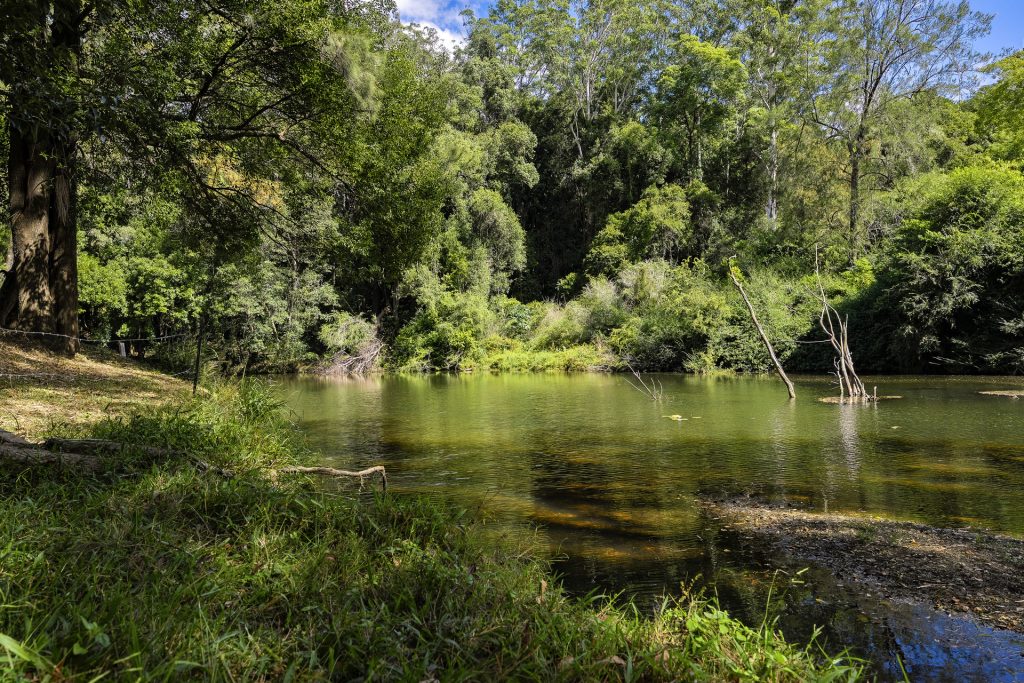 For Sale - 54 Sunny Corner Road - New Property in Bellingen - Real Estate by Ashlee Downton