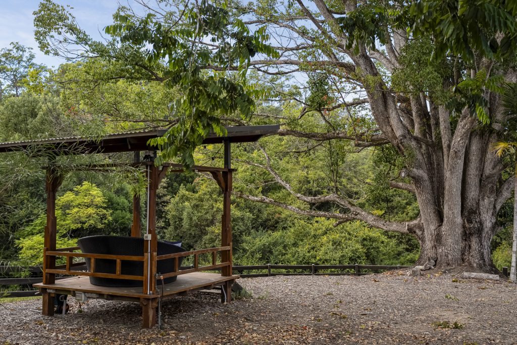 For Sale - 54 Sunny Corner Road - New Property in Bellingen - Real Estate by Ashlee Downton